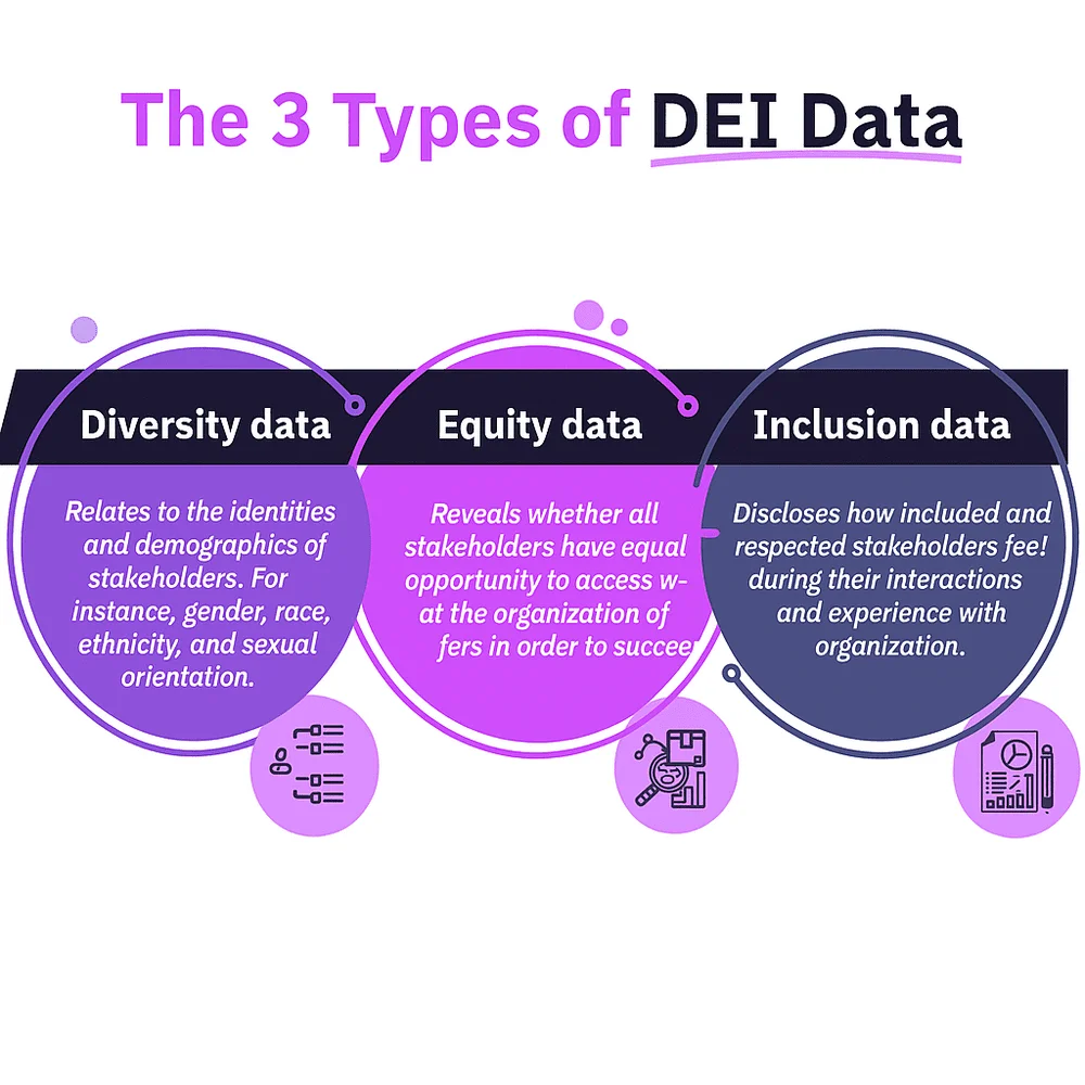 Infographic showing Diversity, Equity, and Inclusion data types with brief definitions and icons, using a purple color scheme. 