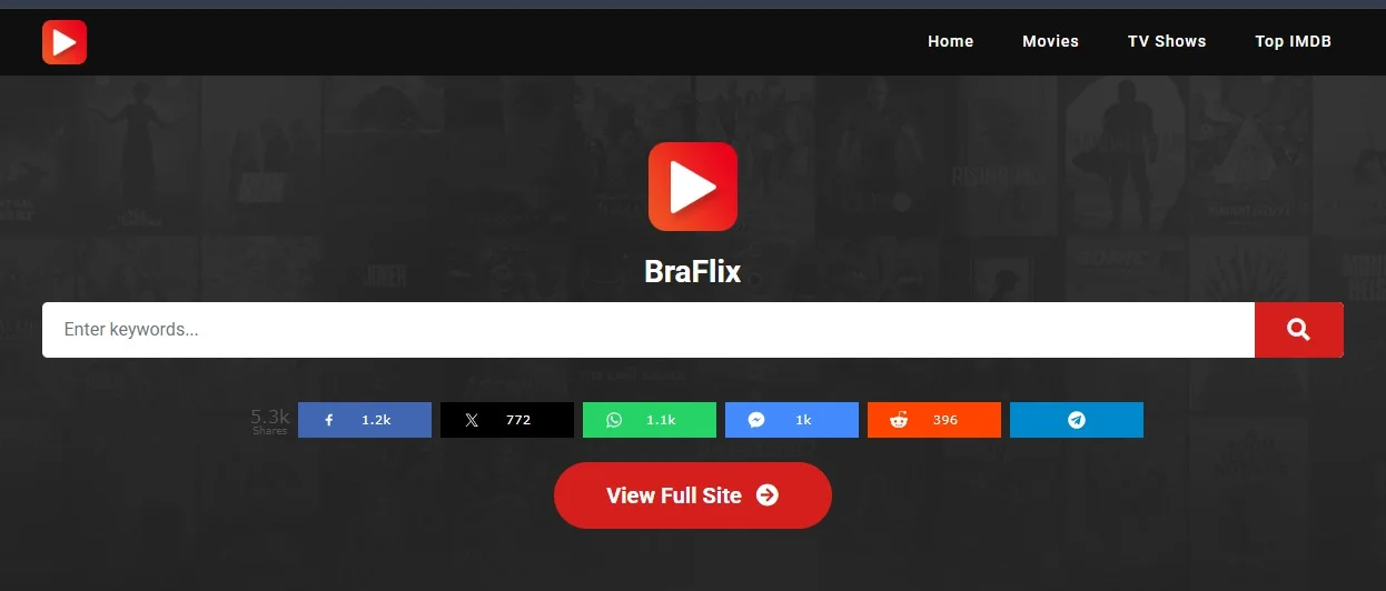 Braflix Interface