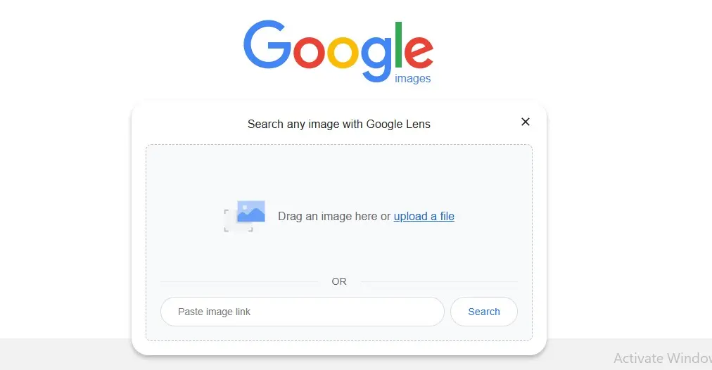 Tracking Online Through Google Image Search Step 3