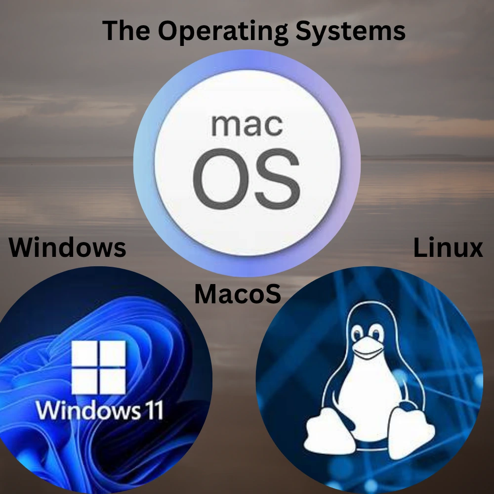 The clear infographic Image of The operating system like windows , Linux and MacoS.