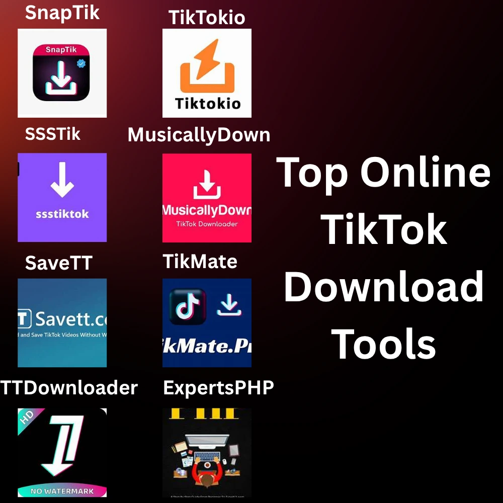 Infographic comparing top TikTok downloader tools in 2025, showing features, device compatibility, and ratings for SnapTik, SSSTik, TikTokio, and others.