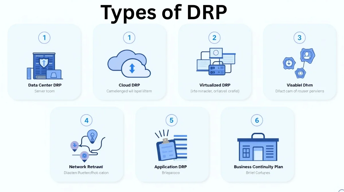 Types of DRP