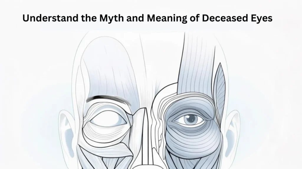 "Illustration showing facial muscles with one eye open and one eye closed, labeled 'Muscle relaxation after death' to explain how eyelid muscles behave post-mortem."
