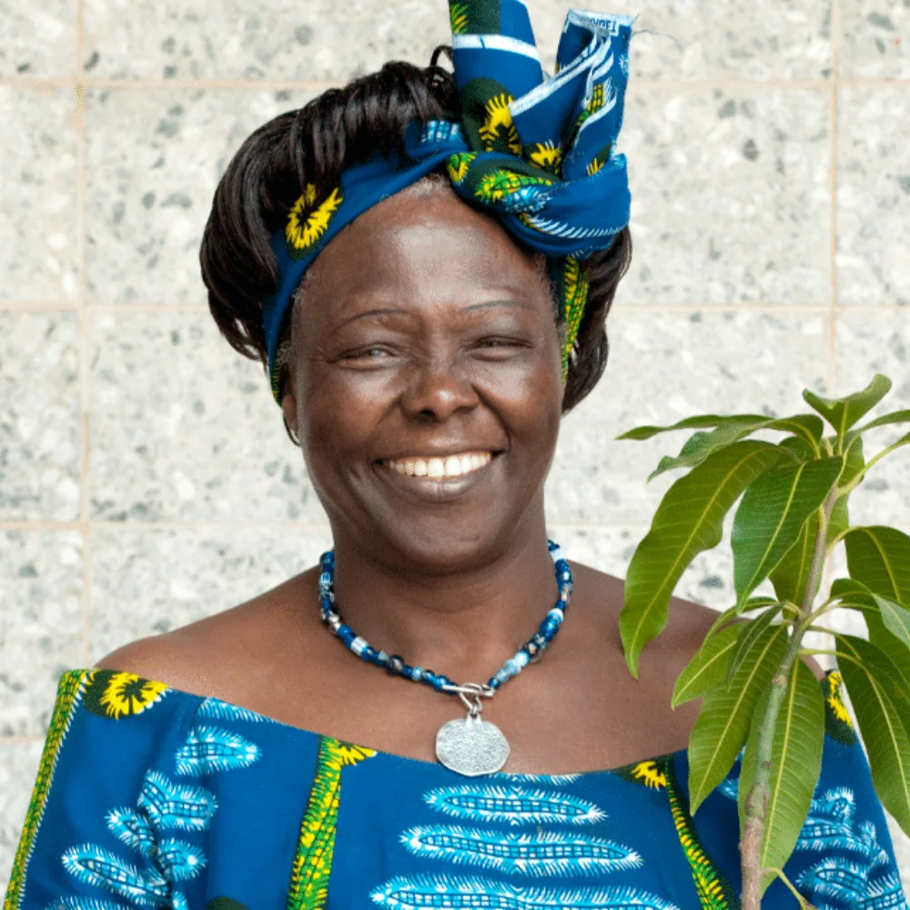 Greening Africa through tree planting
