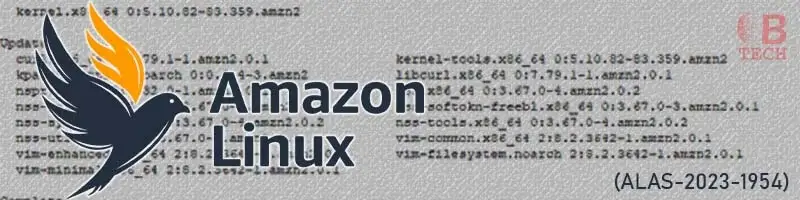 The Amazon Linux 2 nss-util Vulnerability (ALAS-2023-1954)
