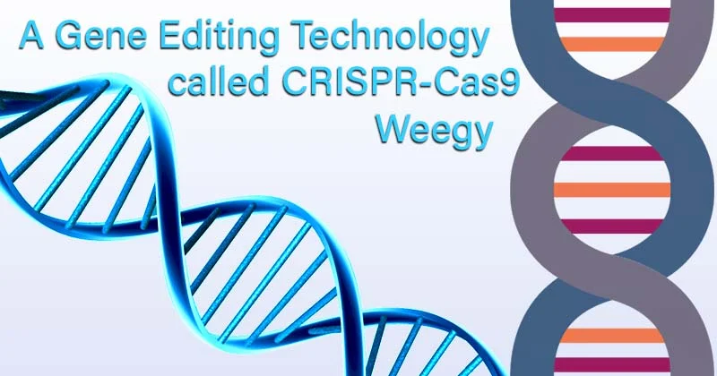 Crispr-Cas9 Weegy: A Gene Editing Technology