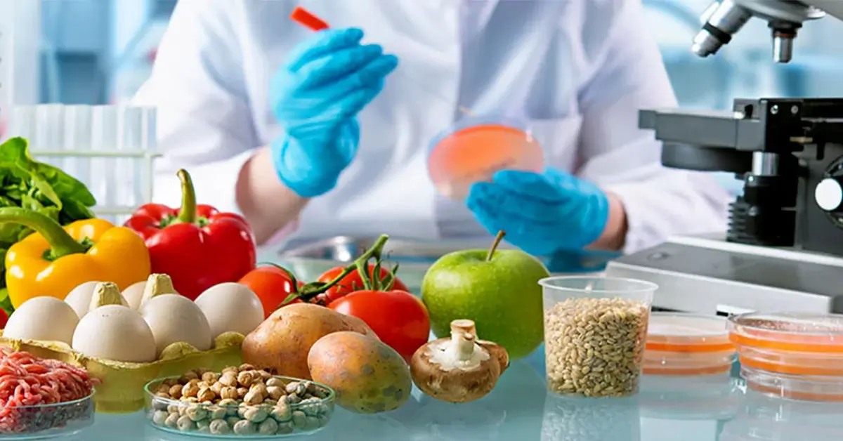 Intrepidfood.eu: Food Safety Analysis