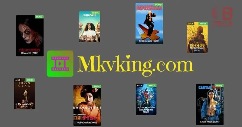 Enjoy High-Quality Movie Downloads with MKVKing