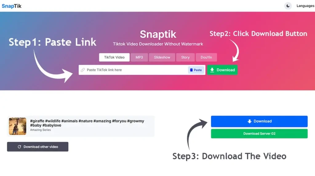 Snaptik Video Download Process