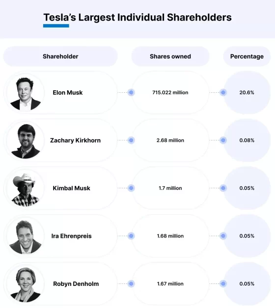 Tesla's Individual Shareholders