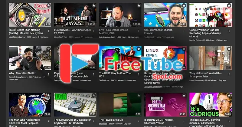 The Impact of Freetubespot.com on Online Video Streaming