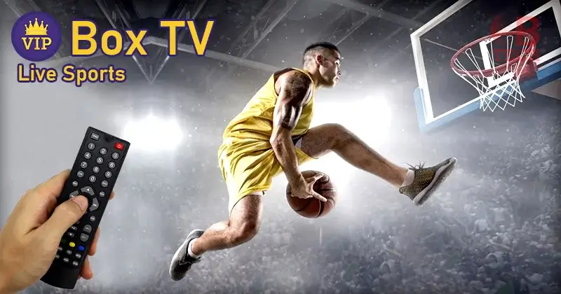 Enjoy Live Sports with Vipbox TV and Custom Sports Medals